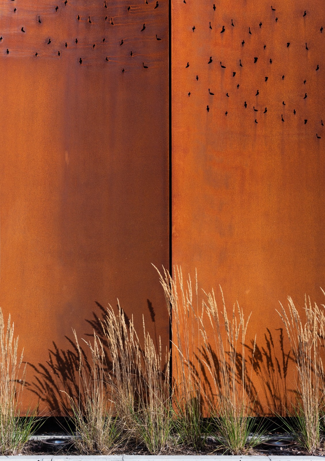 BIM建筑|UCL 特殊研究实验室 / Penoyre & Prasad