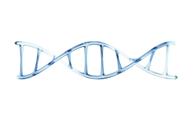 BIM建筑|优雅的变奏·南通植物园温室 / 简和工作室