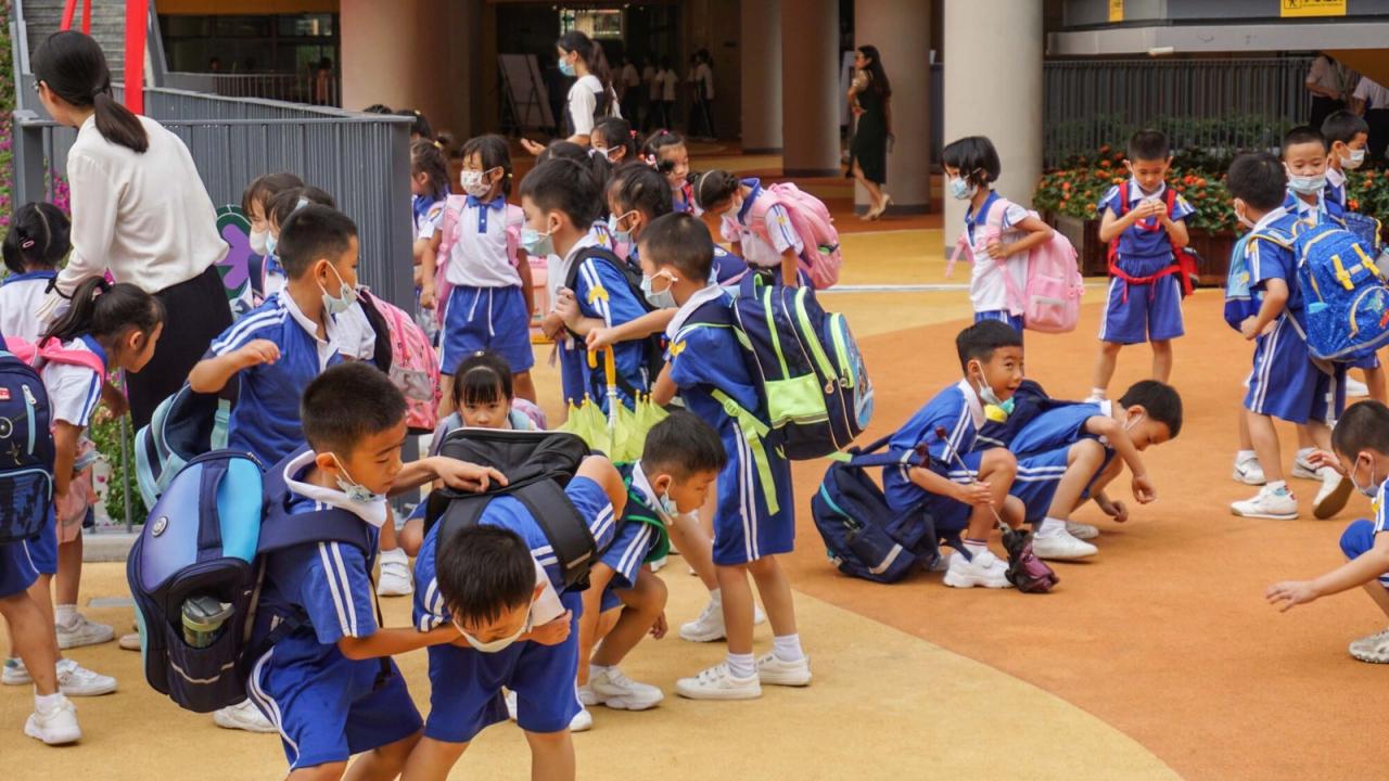 BIM建筑|深圳外国语学校宝安学校 / 华阳国际设计集团