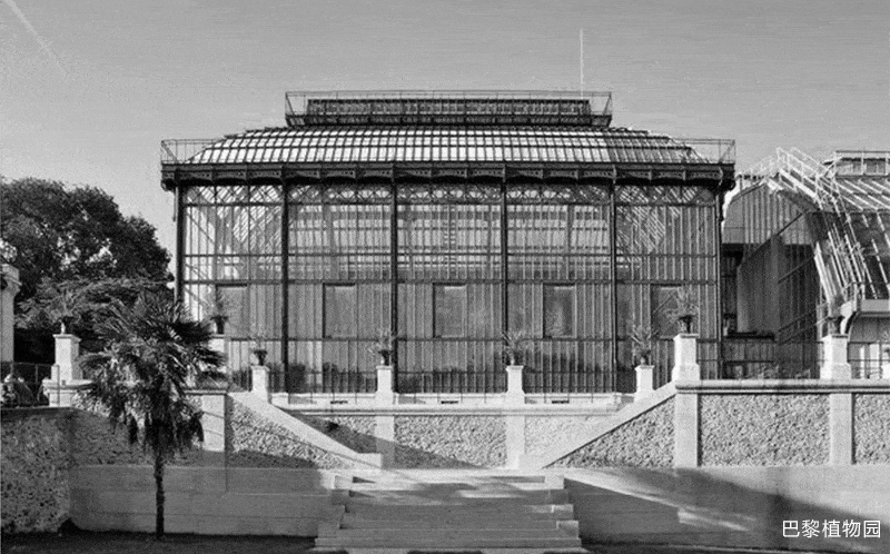 BIM建筑|优雅的变奏·南通植物园温室 / 简和工作室