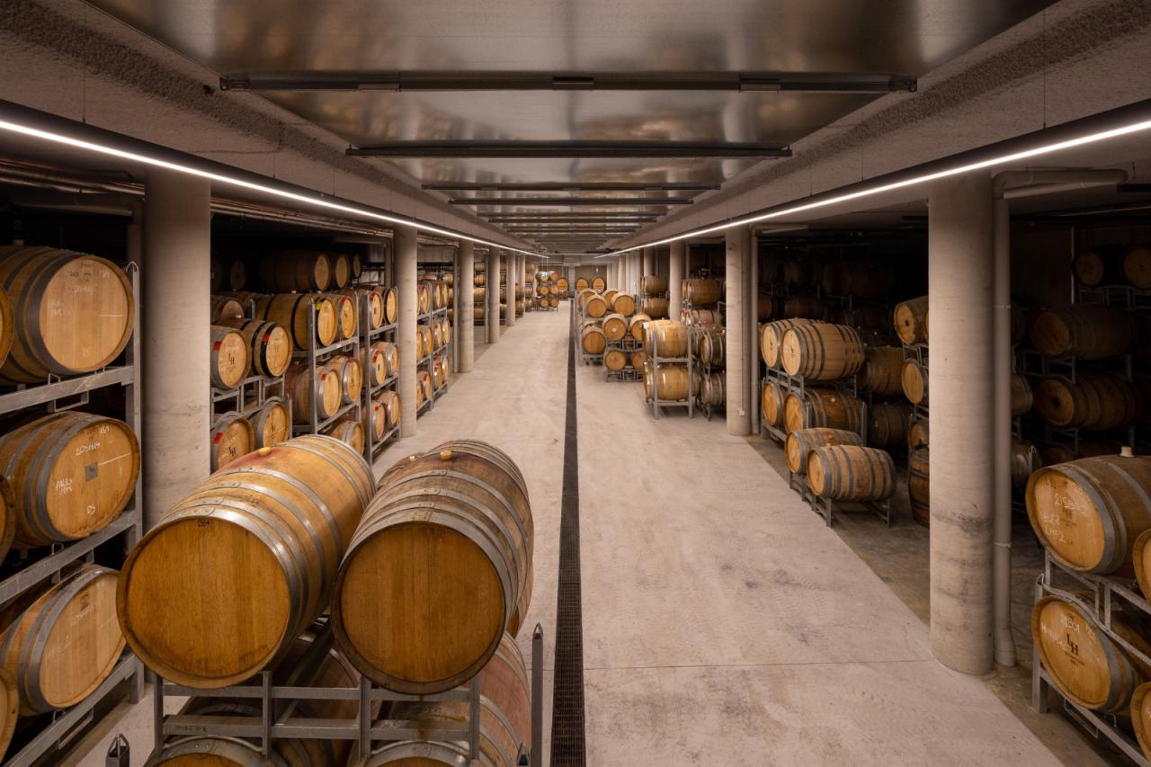 BIM建筑|Levantine Hill Estate酒庄 / Fender Katsalidis Architects