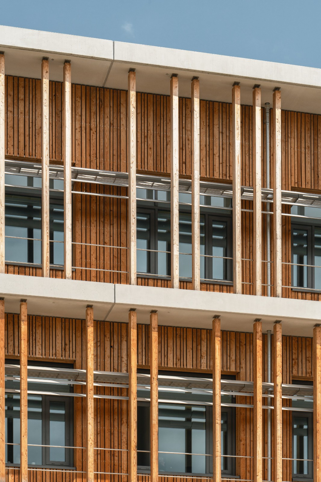 BIM建筑|慕尼黑工业大学可持续化学楼 / Schuster Pechtold Schmidt Architekten