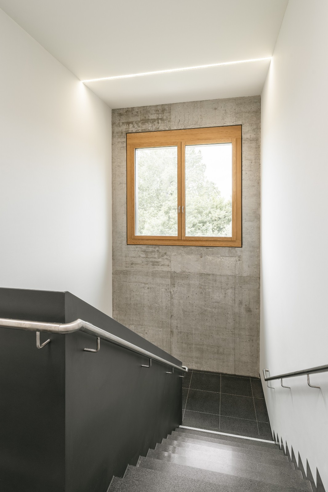 BIM建筑|慕尼黑工业大学可持续化学楼 / Schuster Pechtold Schmidt Architekten