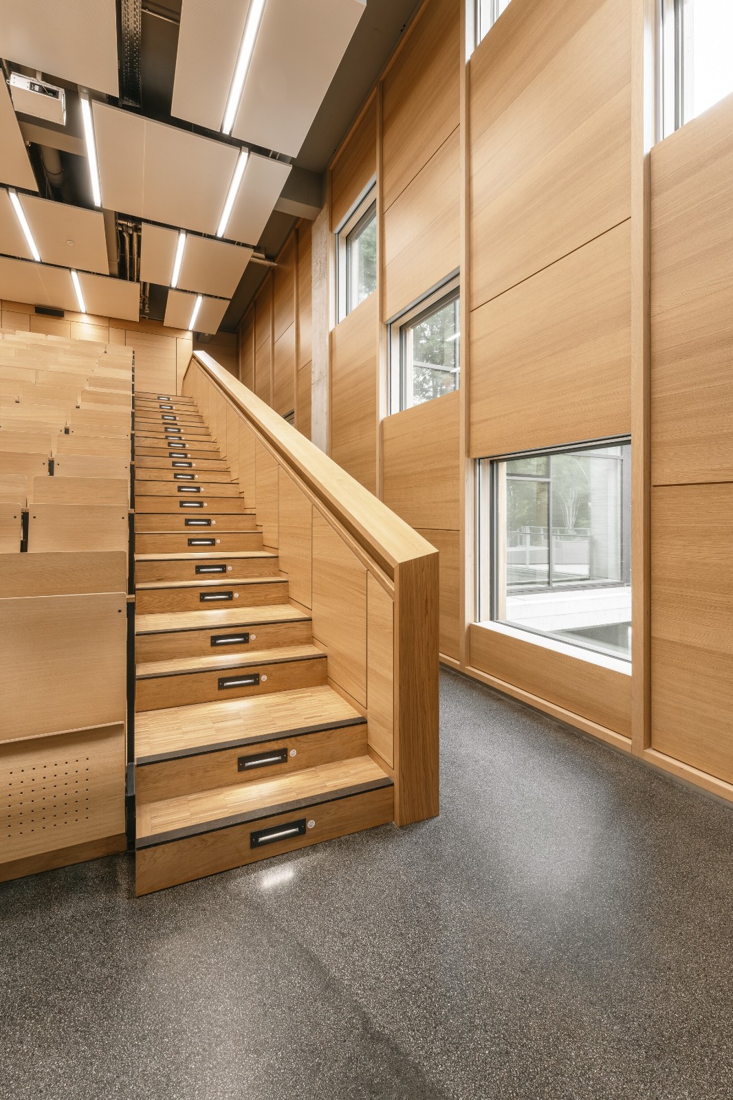 BIM建筑|慕尼黑工业大学可持续化学楼 / Schuster Pechtold Schmidt Architekten