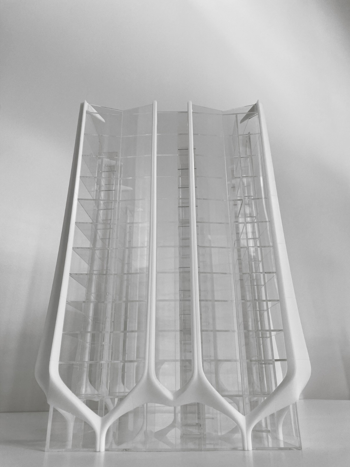 BIM建筑|The Lanes 公寓 / Contreras Earl Architecture