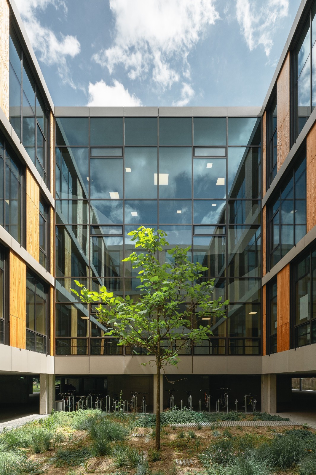 BIM建筑|慕尼黑工业大学可持续化学楼 / Schuster Pechtold Schmidt Architekten