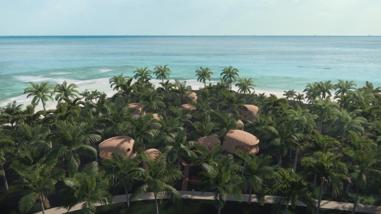 BIM建筑|丛林树屋：在加勒比海边做一场满是棕榈叶的梦 / 繁星建筑工作室