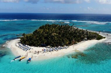 BIM建筑|丛林树屋：在加勒比海边做一场满是棕榈叶的梦 / 繁星建筑工作室-BIM建筑网