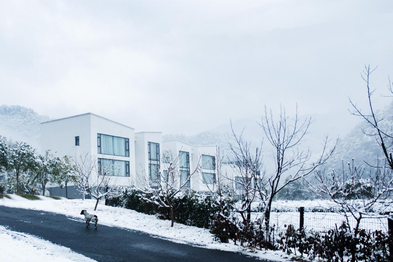 BIM建筑|岐院：山川 · 素屋 · 窗，千岛湖 / 平介设计