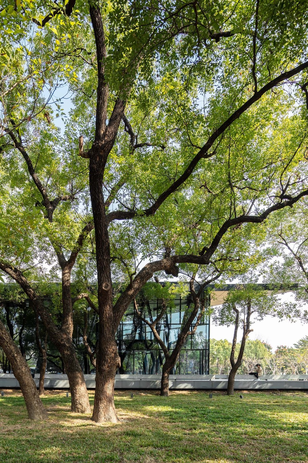 BIM建筑|屏东市公共图书馆 / MAYU architects