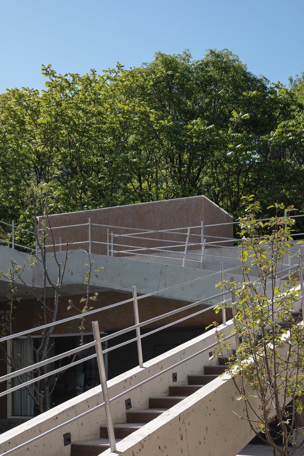 BIM建筑|苒仓民宿 / 阿穆隆设计工作室