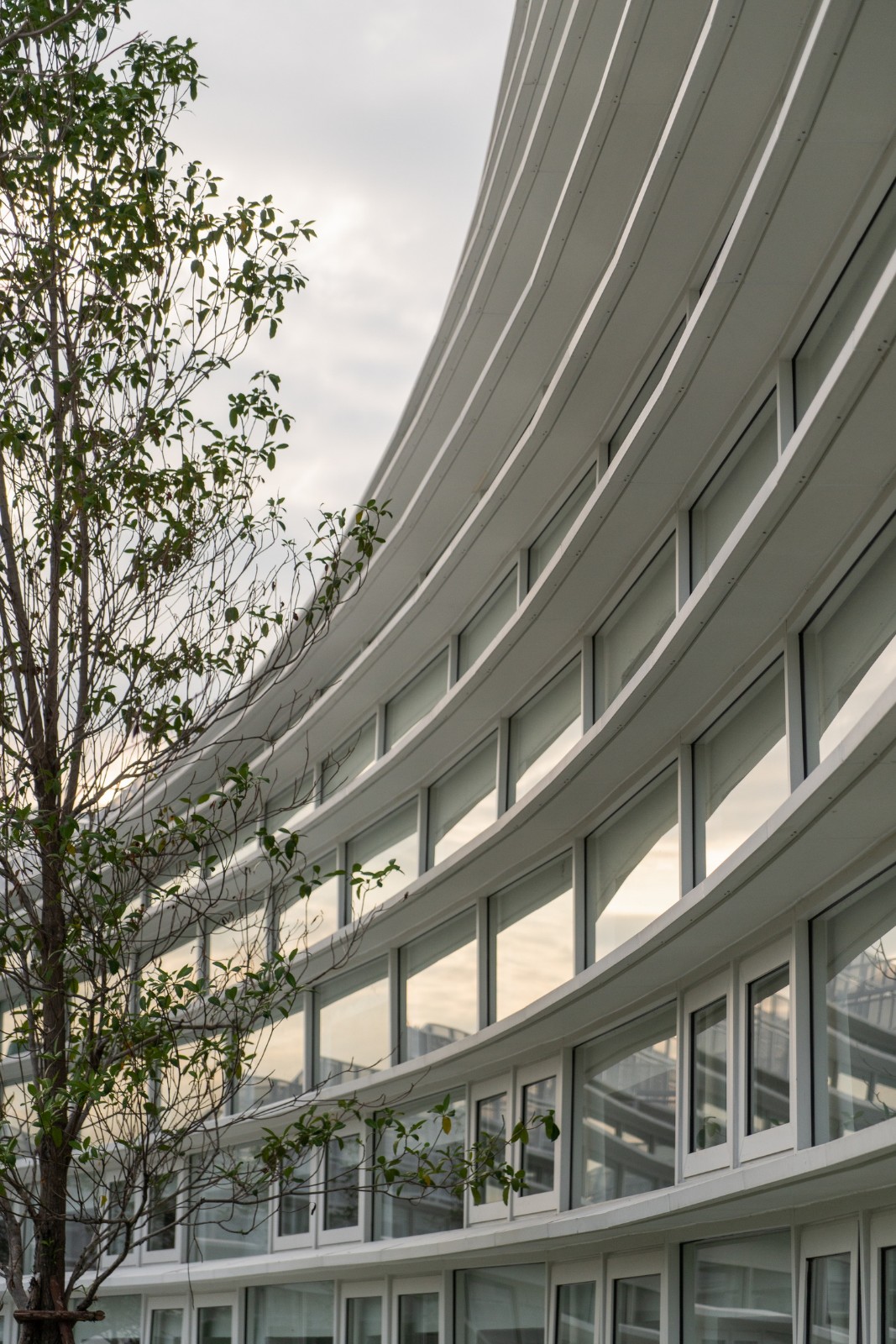 BIM建筑|扇形展开，泰国吞武里校园 SISB / Plan Architect