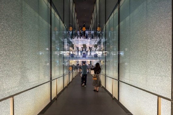 BIM建筑|福斯特设计阶梯瀑布环绕的苹果商店