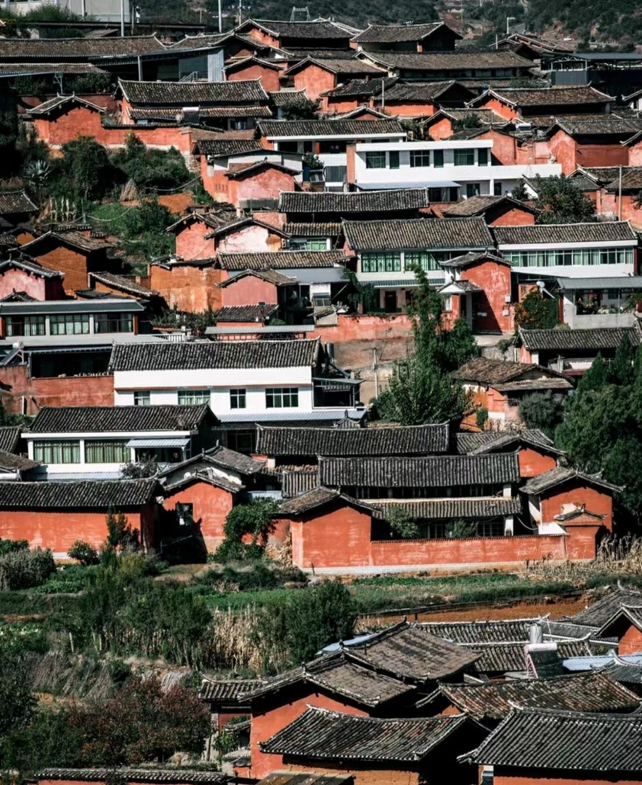 BIM建筑|建造：立足于现实-村里的隐山岚 / 合造社