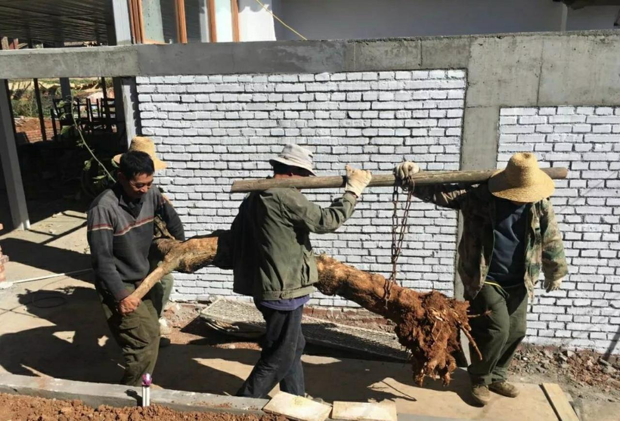 BIM建筑|建造：立足于现实-村里的隐山岚 / 合造社