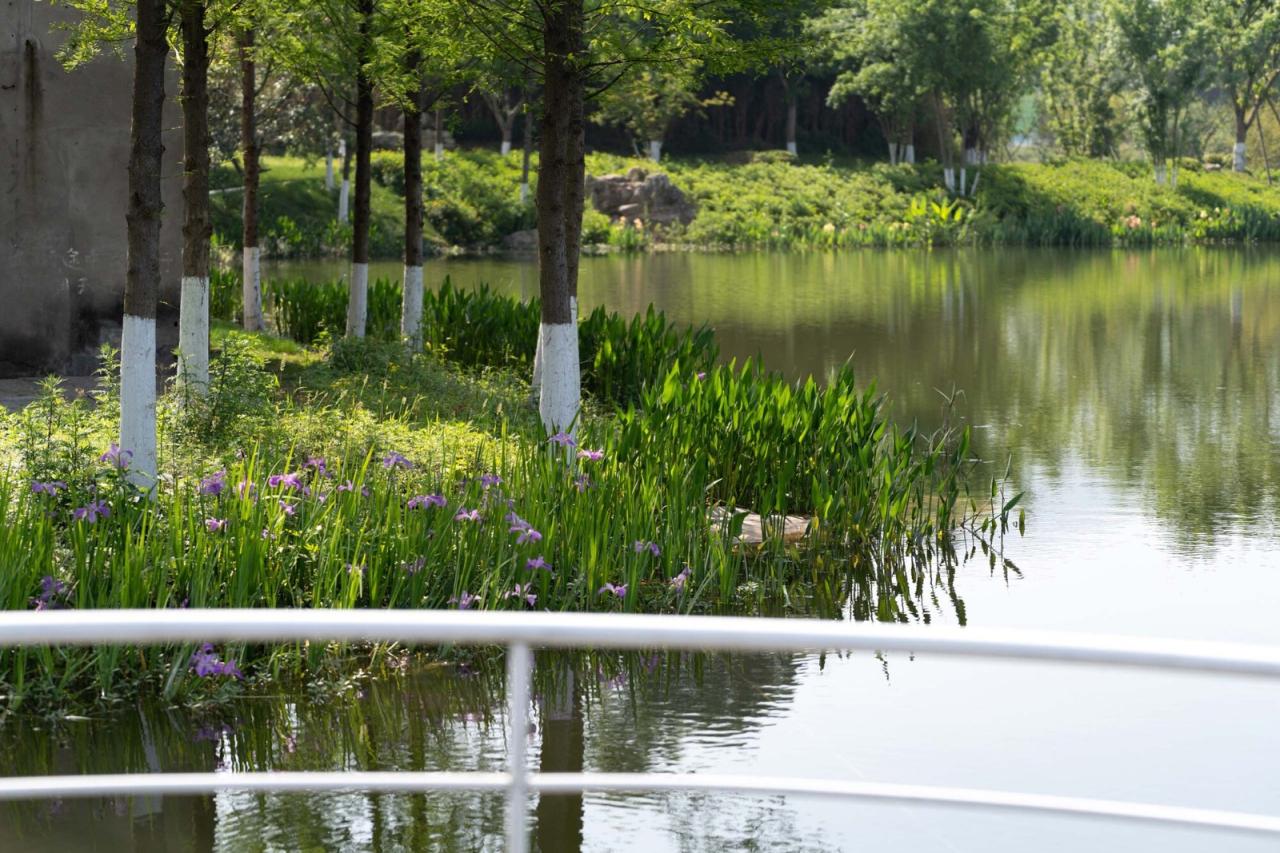 BIM建筑|明月湖沙金小学改造 / 重庆悦集建筑设计事务所