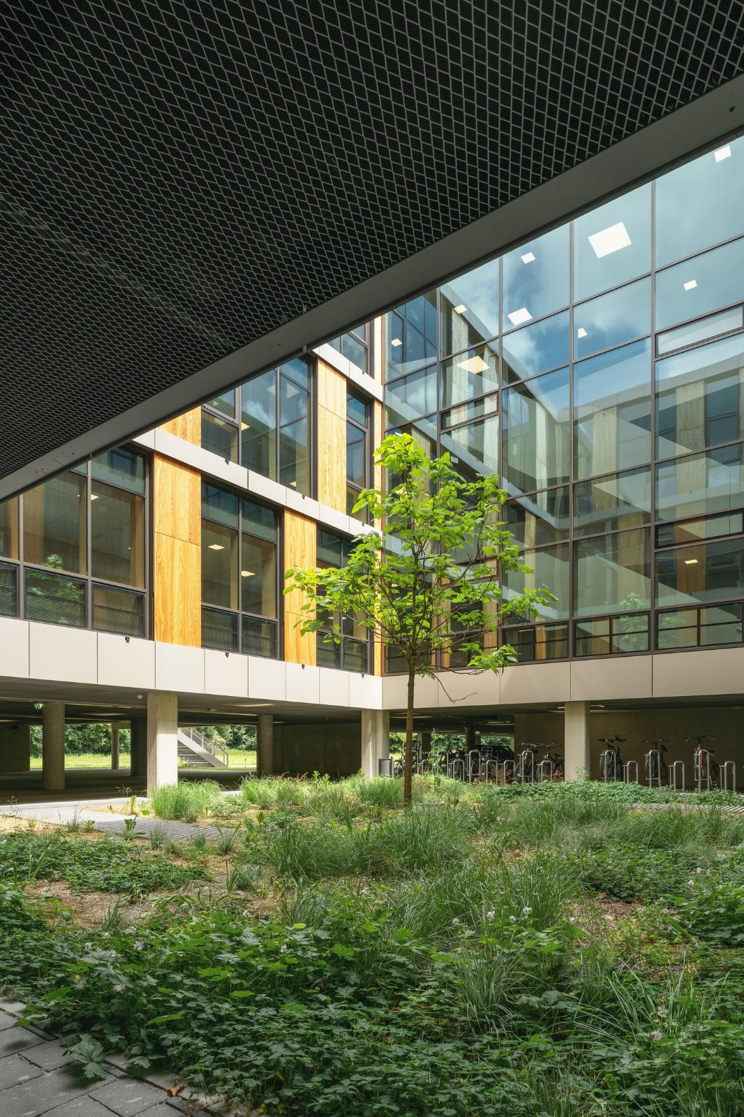 BIM建筑|慕尼黑工业大学可持续化学楼 / Schuster Pechtold Schmidt Architekten