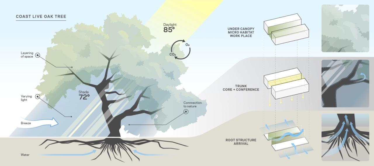 BIM建筑|斯坦福大学医学院学术医学中心 / HOK