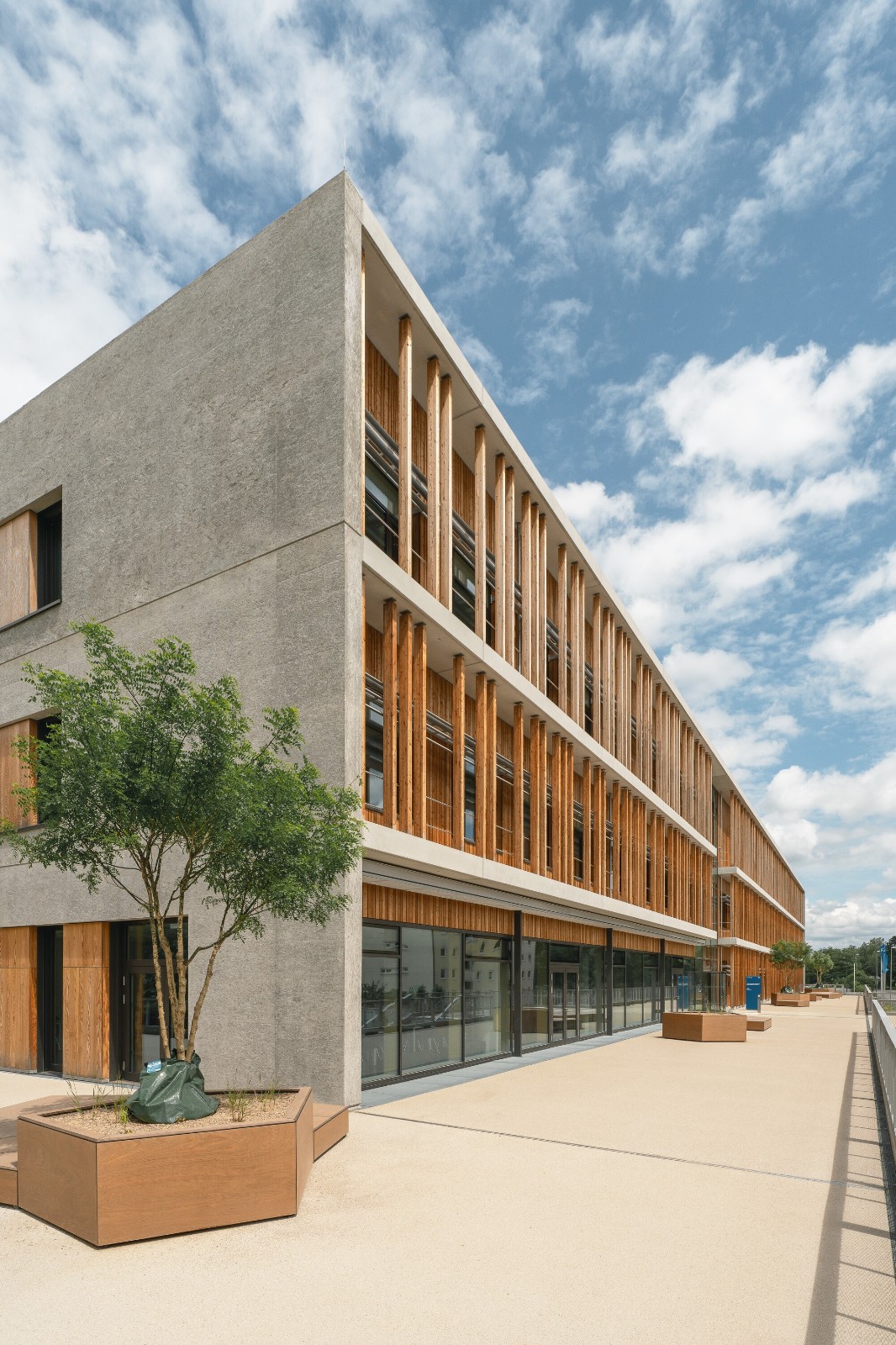 BIM建筑|慕尼黑工业大学可持续化学楼 / Schuster Pechtold Schmidt Architekten