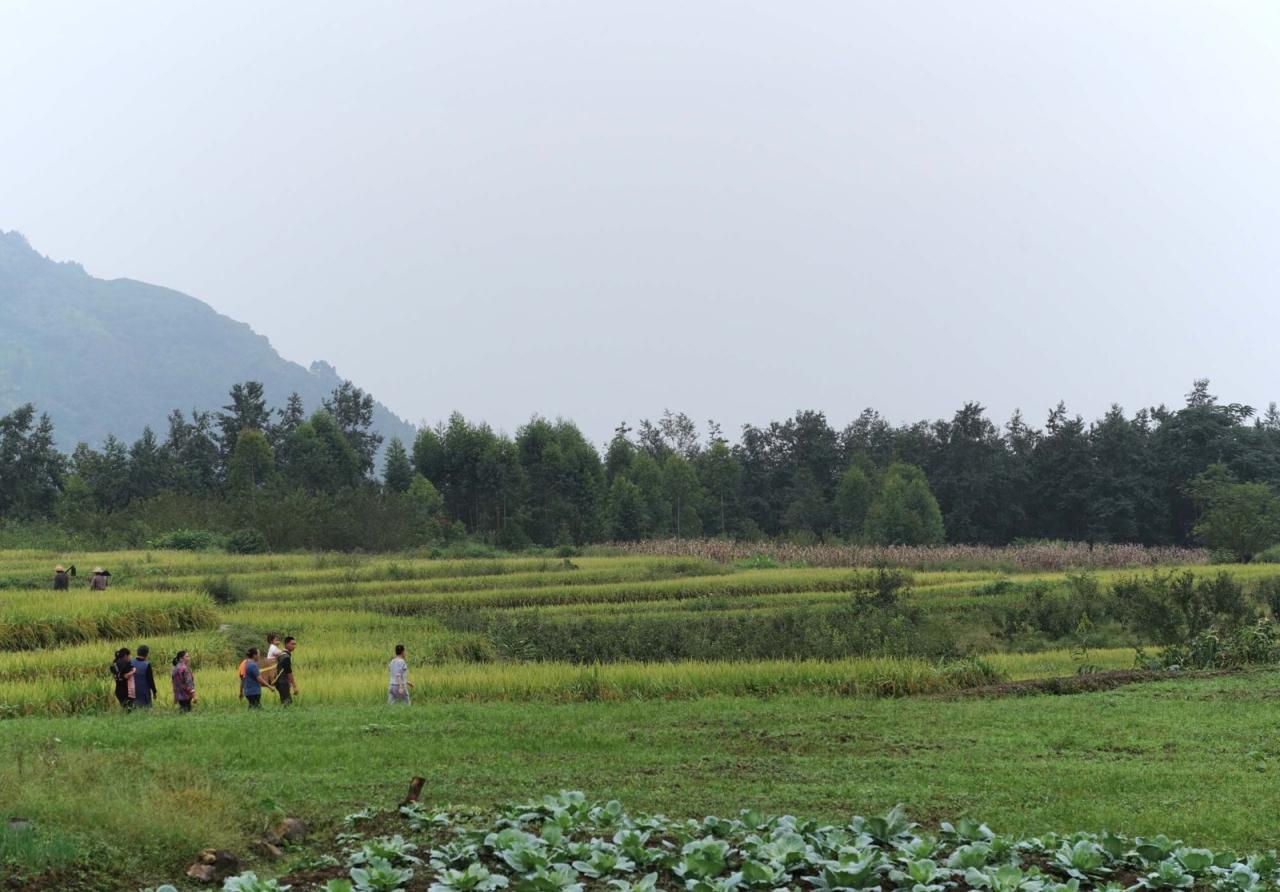 BIM建筑|峨眉山高桥小镇 / 超级平常空间设计