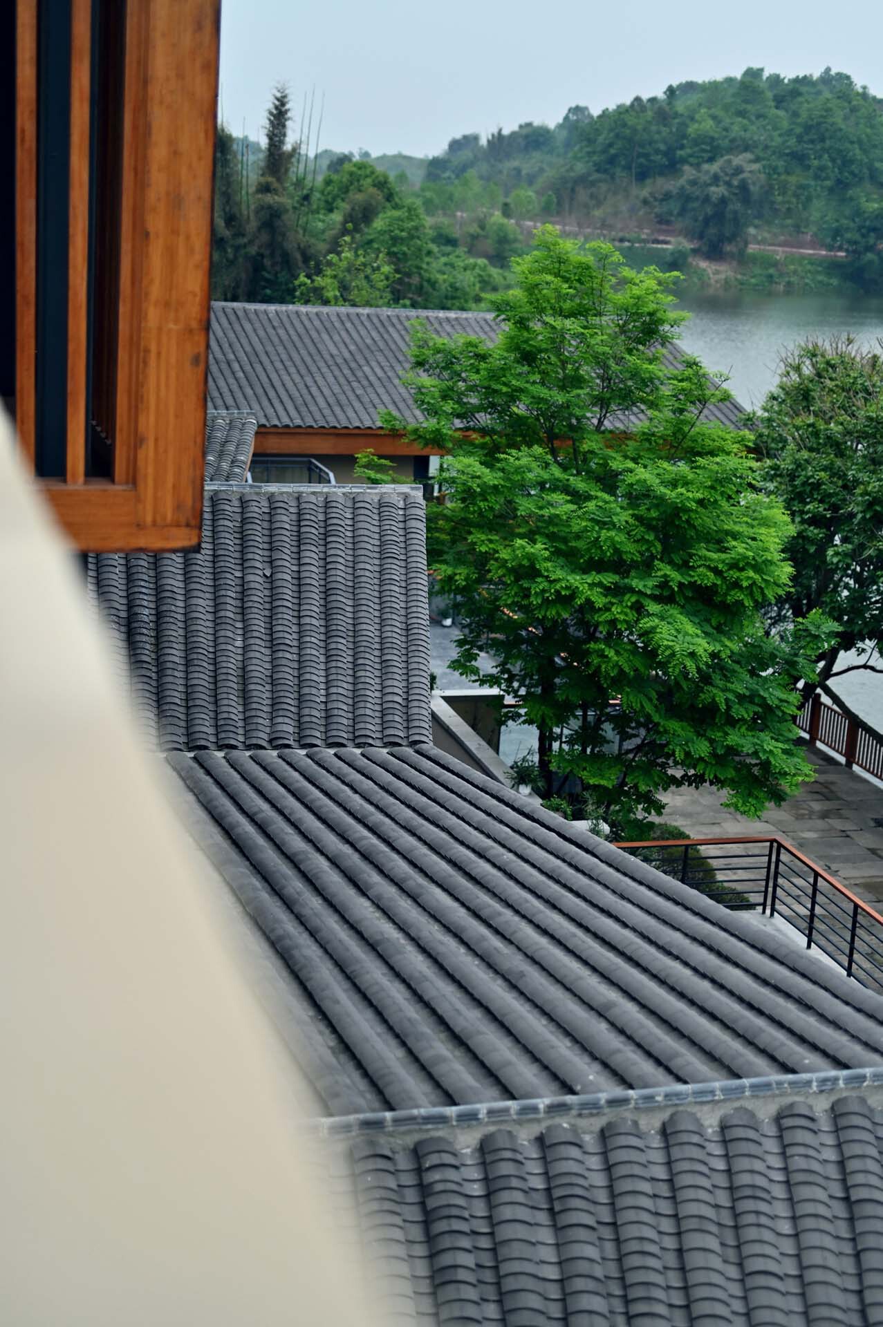 BIM建筑|明月湖沙金小学改造 / 重庆悦集建筑设计事务所