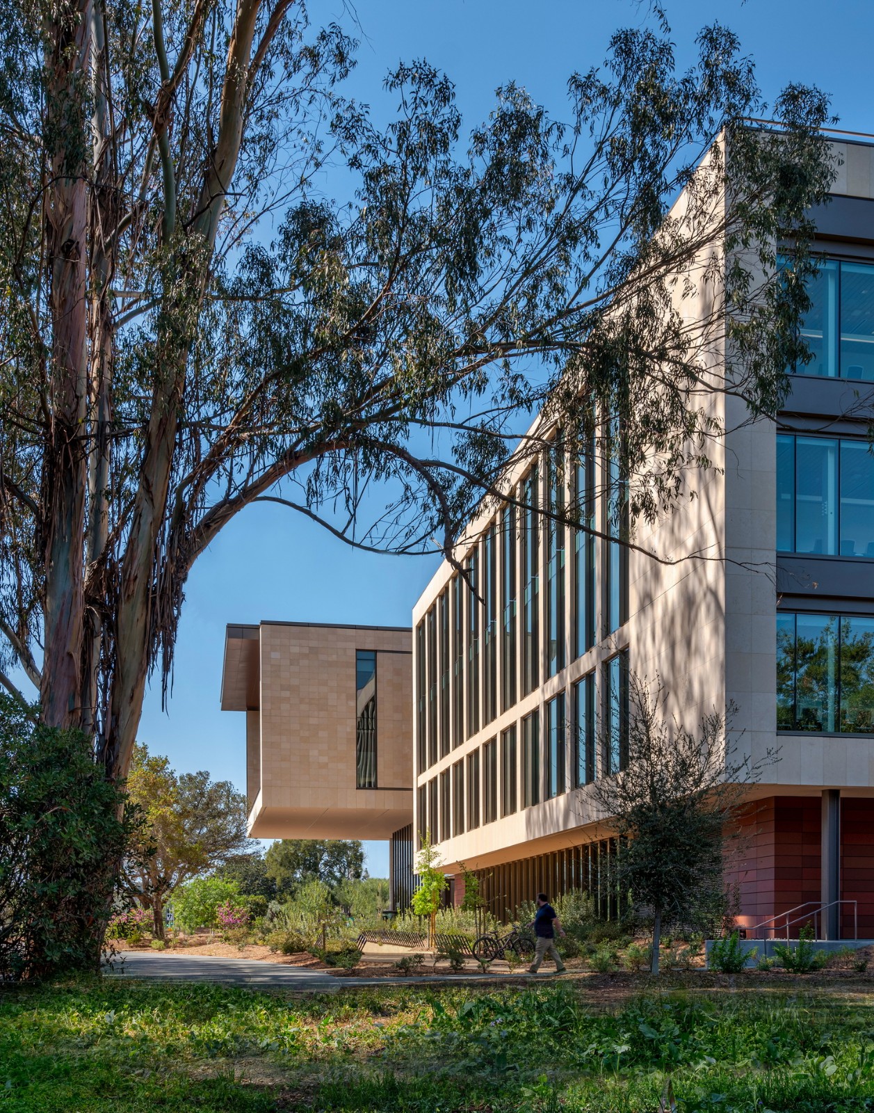 BIM建筑|斯坦福大学医学院学术医学中心 / HOK