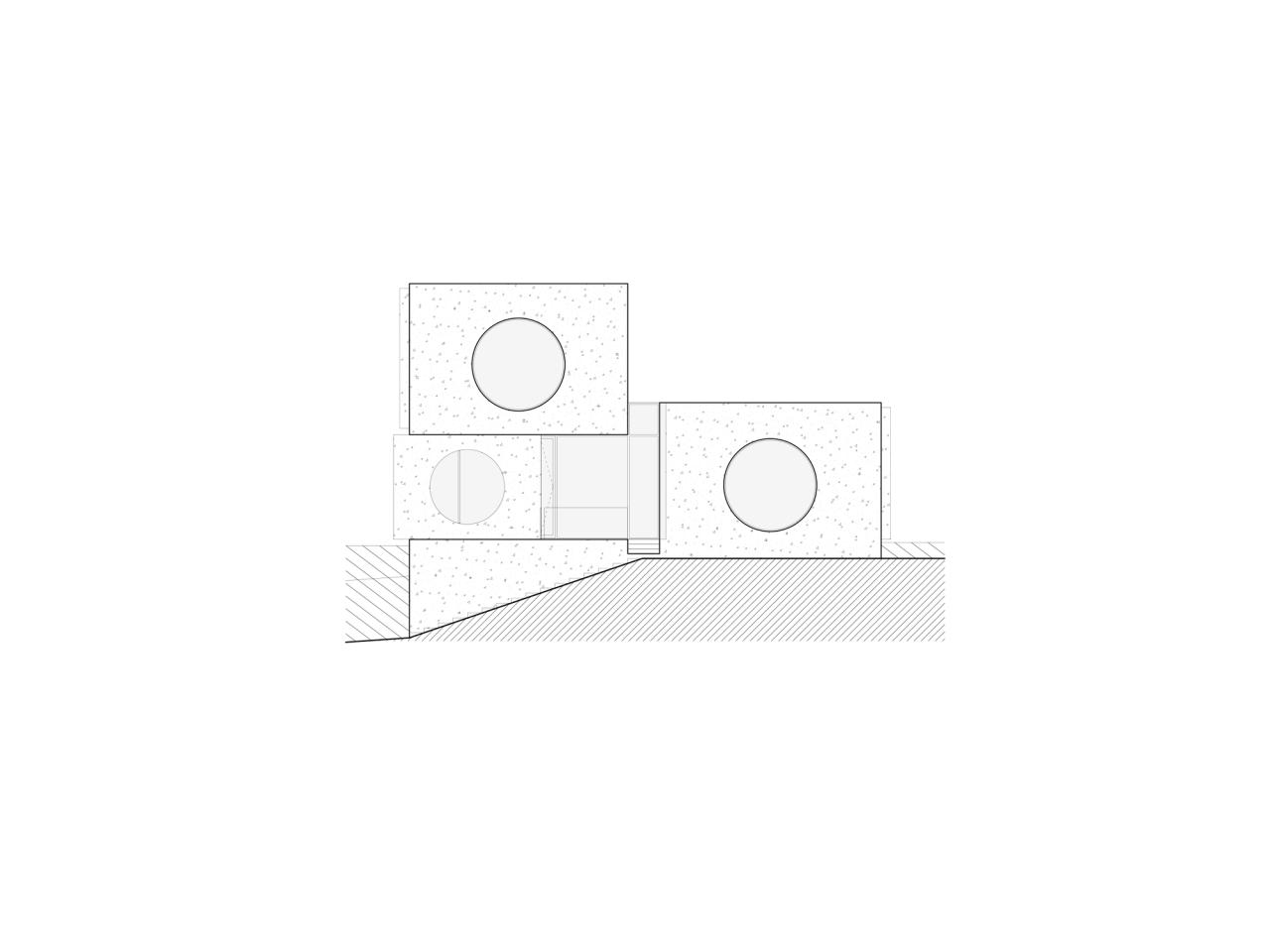 BIM建筑|现代主义混凝土住宅，考纳斯之家 / Architectural Bureau G.Natkevicius & Partners