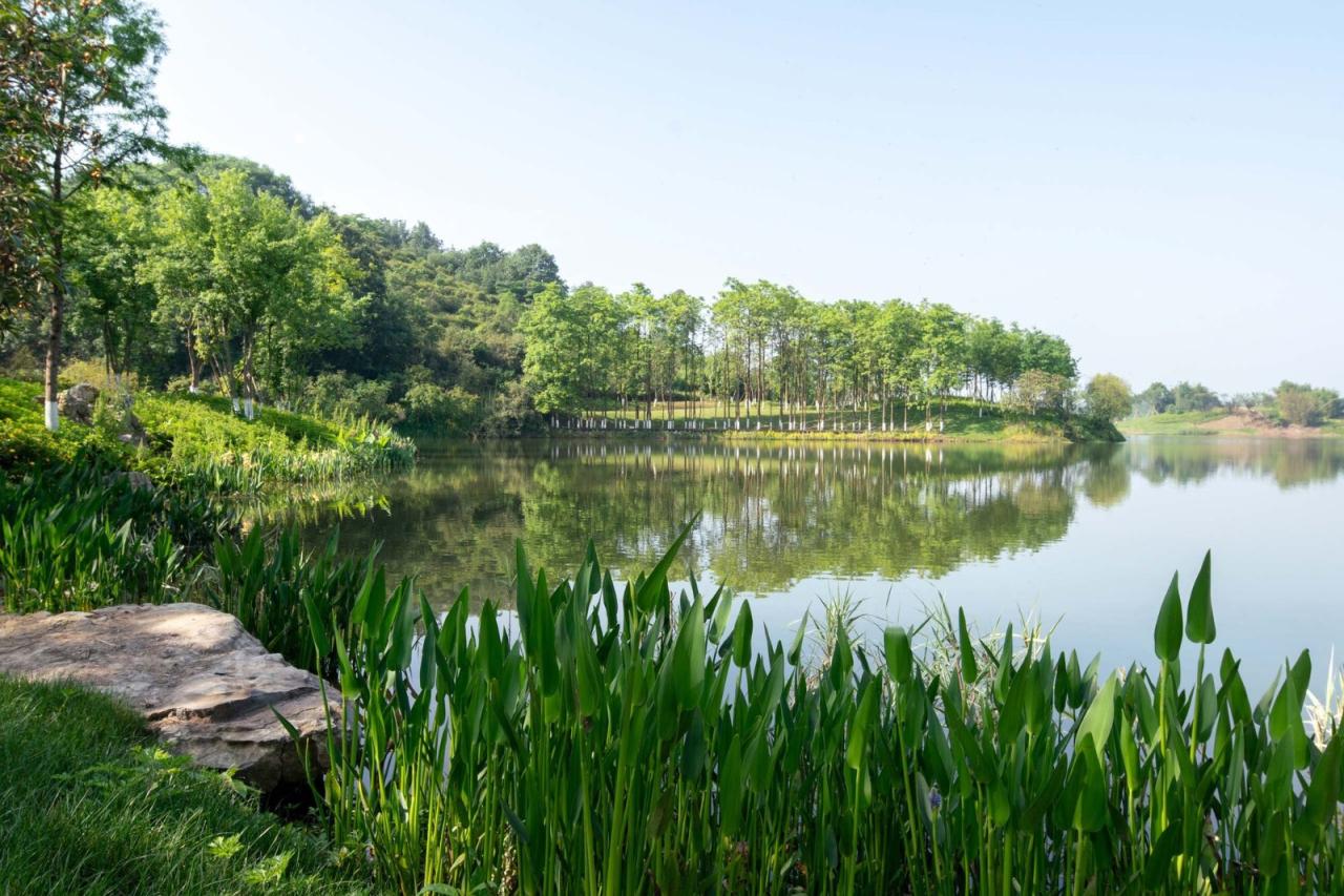 BIM建筑|明月湖沙金小学改造 / 重庆悦集建筑设计事务所