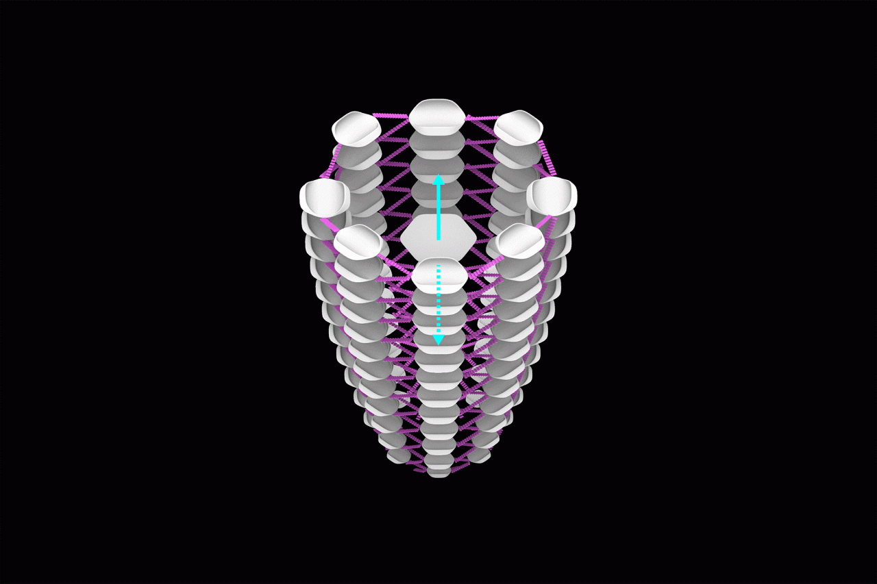 BIM建筑|5个获奖作品，全球最大元宇宙平台Decentraland建筑大赛 / CAA LAB