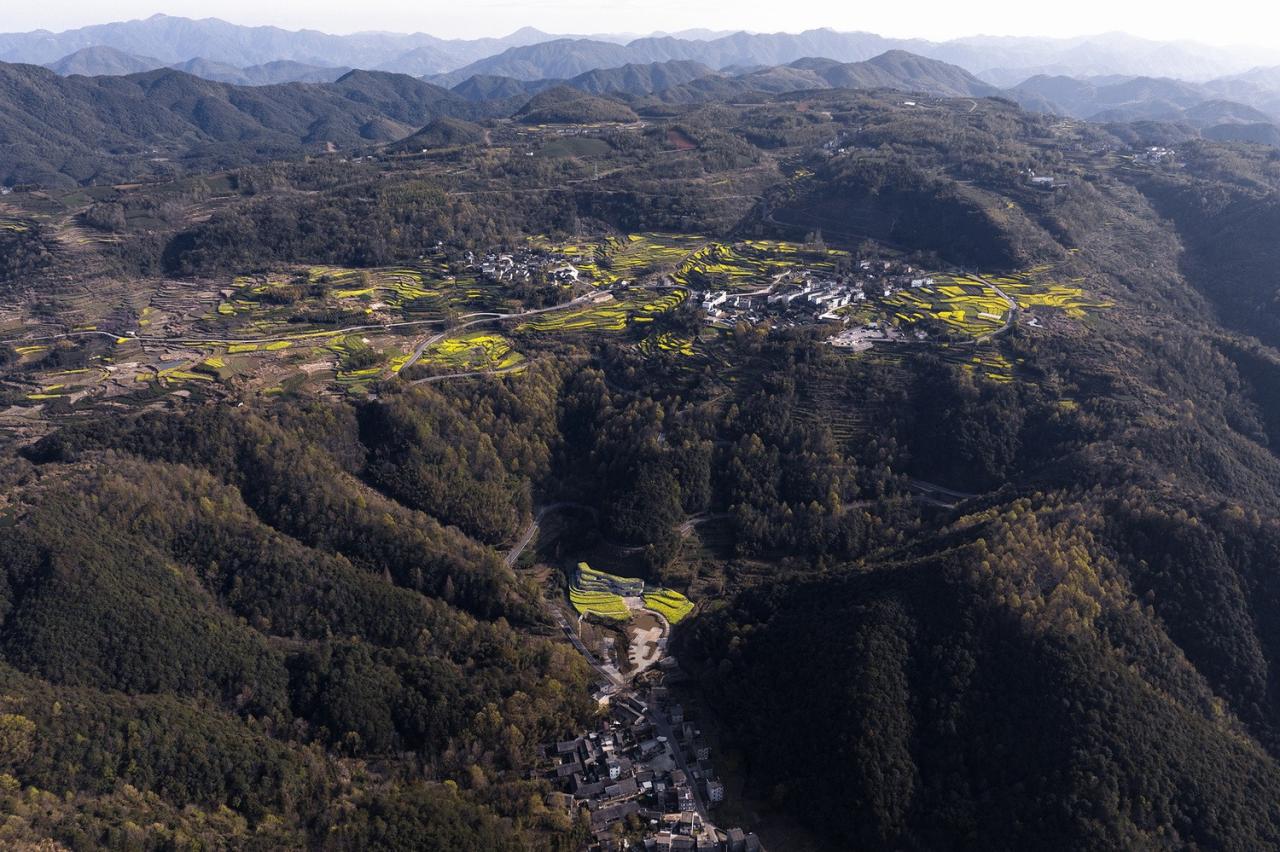 BIM建筑|消隐的建筑，内化的乡土——桑洲清溪文史馆 / UAD
