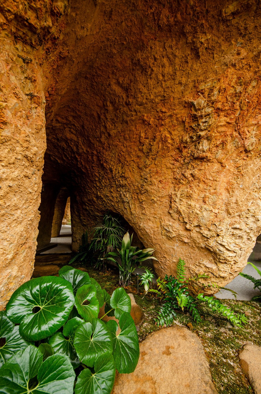 BIM建筑|住宅与餐厅「Maison Owl」 / 石上纯也建筑事务所