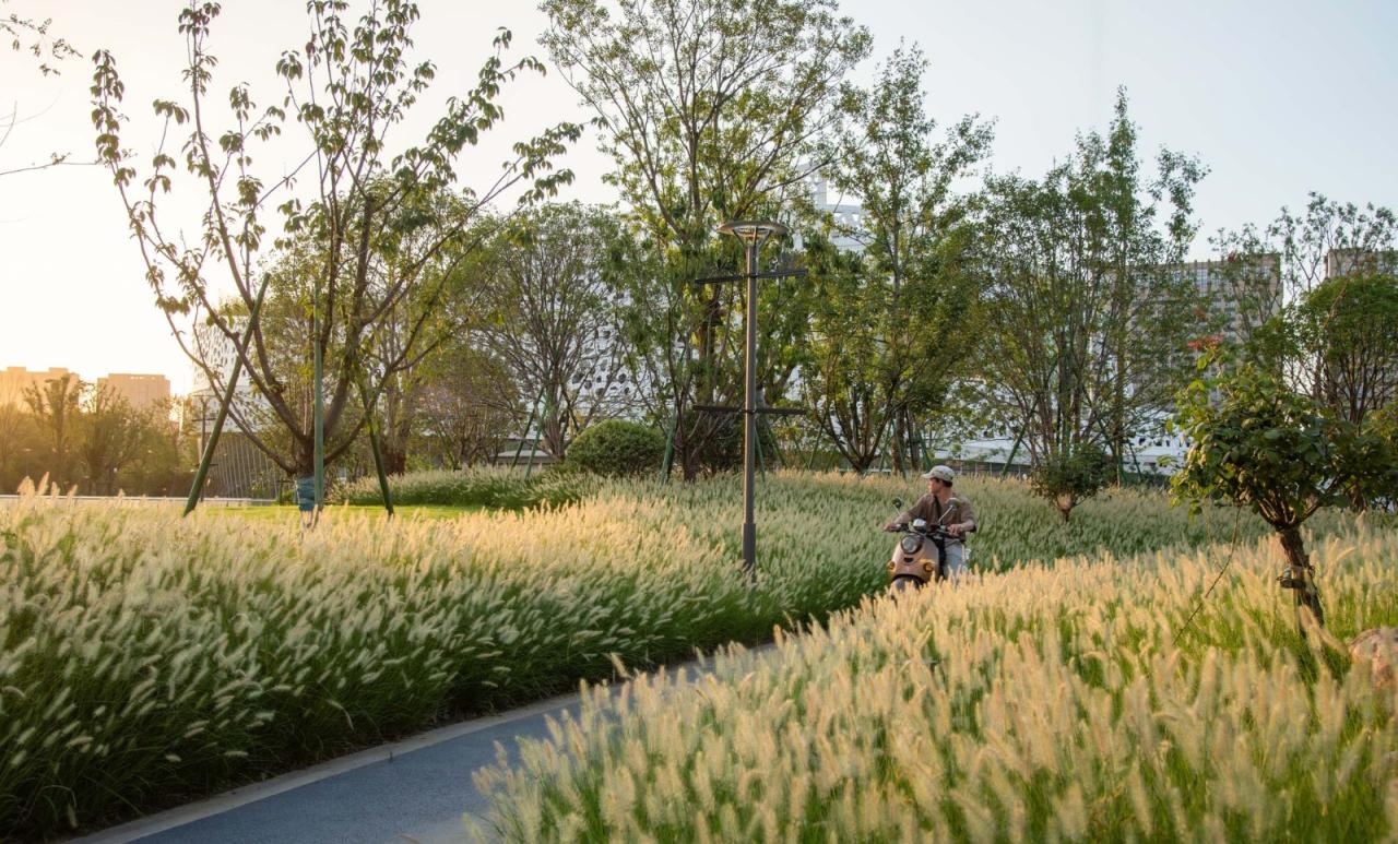 BIM建筑|杭州运河中央公园（二期）/ 浙江省建筑设计研究院