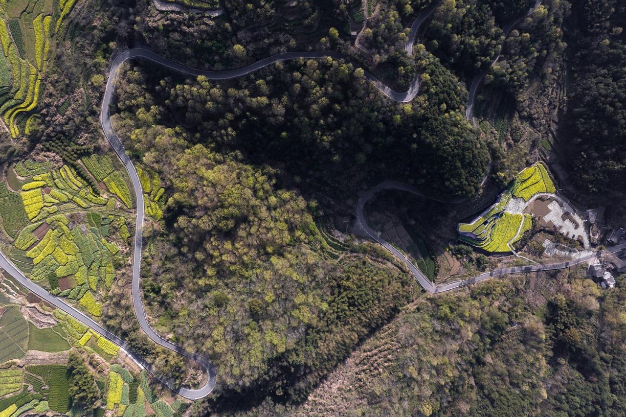 BIM建筑|消隐的建筑，内化的乡土——桑洲清溪文史馆 / UAD