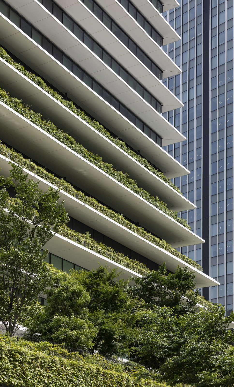 BIM建筑|东京最高区，虎之门之丘 / ingenhoven architects