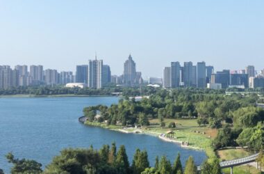 BIM建筑|巨石科技大厦 / 栖城设计-BIM建筑网