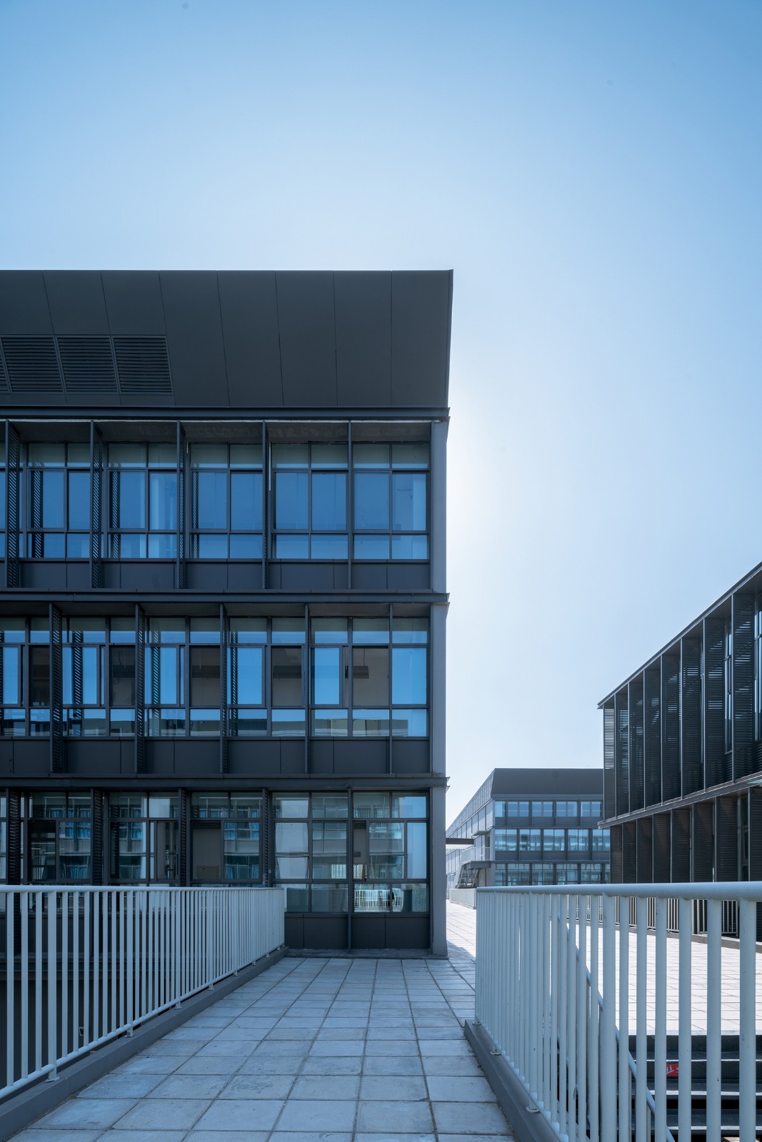 BIM建筑|郑州航空港第八安置区配套中学暨郑州第130中学 / 上海联创设计集团