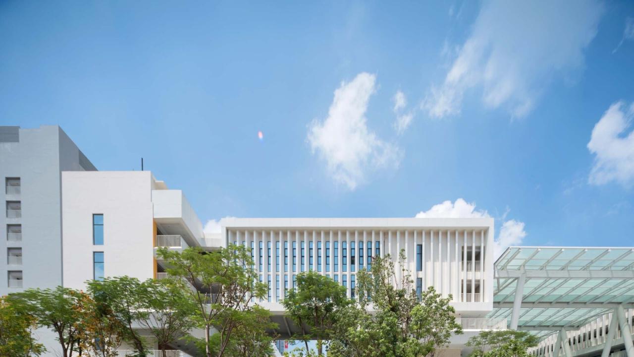 BIM建筑|深圳市红山中学 / 华阳国际设计