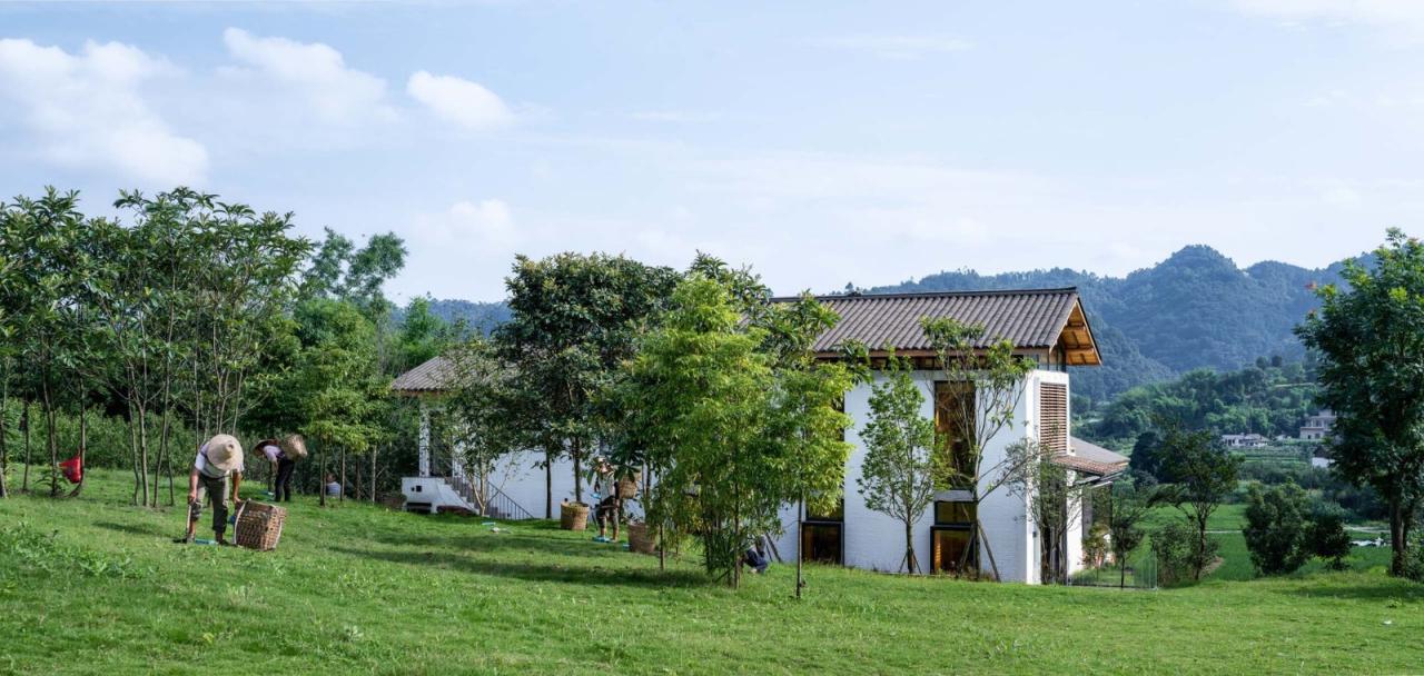 BIM建筑|安石乡村书局 / 锋茂建筑