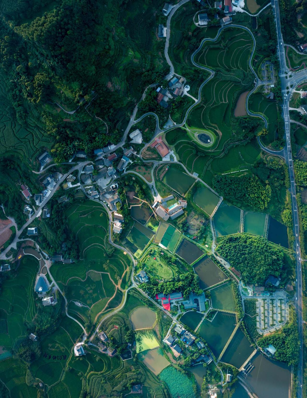 BIM建筑|安石乡村书局 / 锋茂建筑