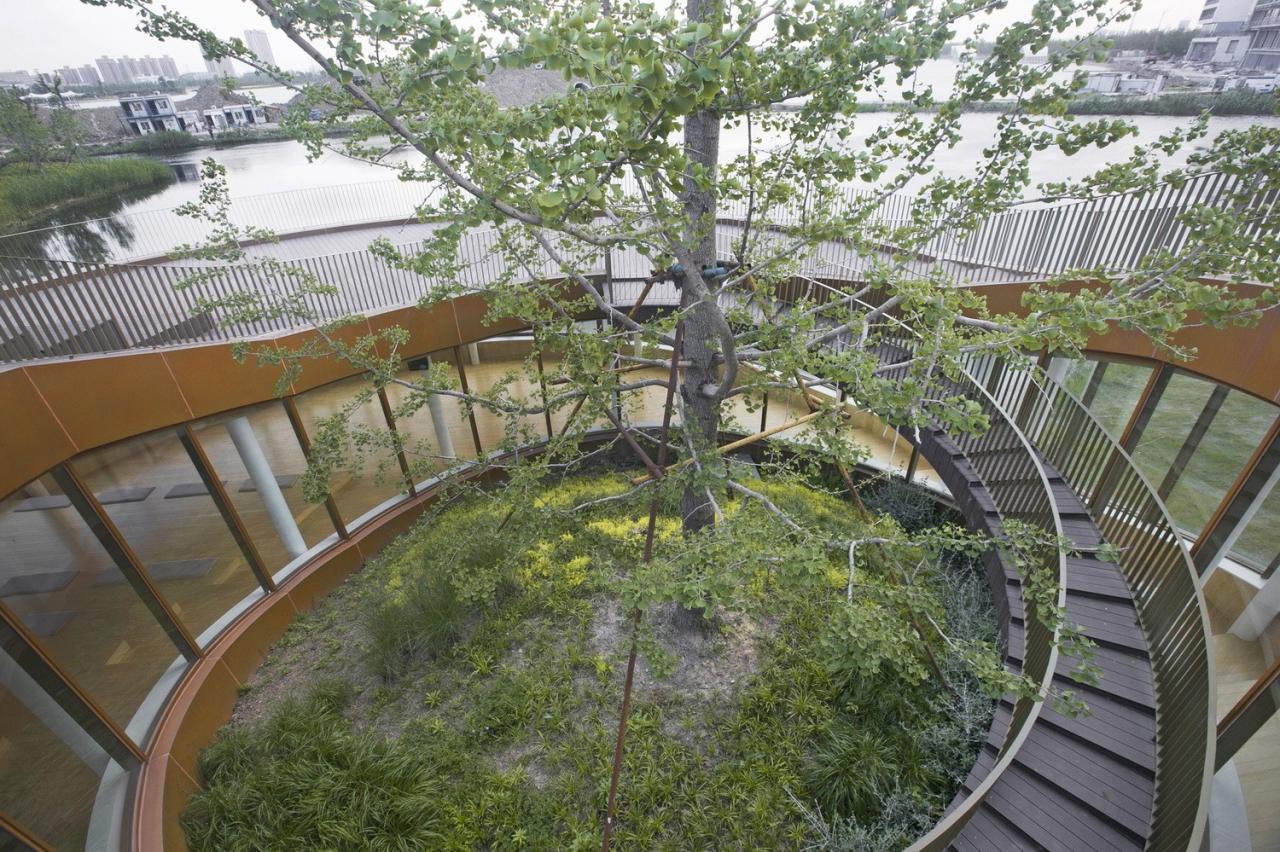 BIM建筑|湖畔剧场 / 禾下建筑社 + MADAM