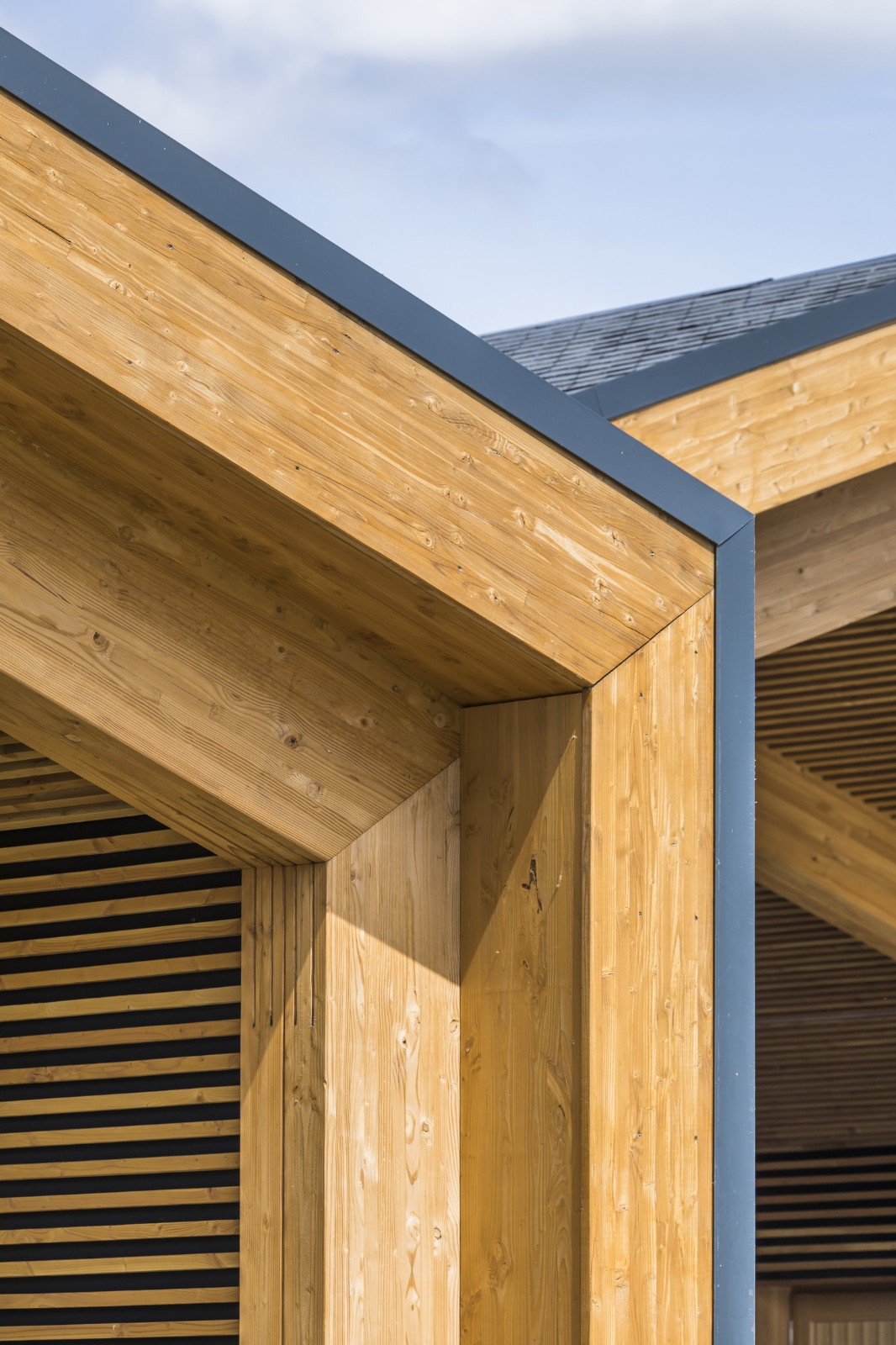 BIM建筑|Les Coteaux Fleuris 学校 / HEMAA Architectes + Hesters Oyon