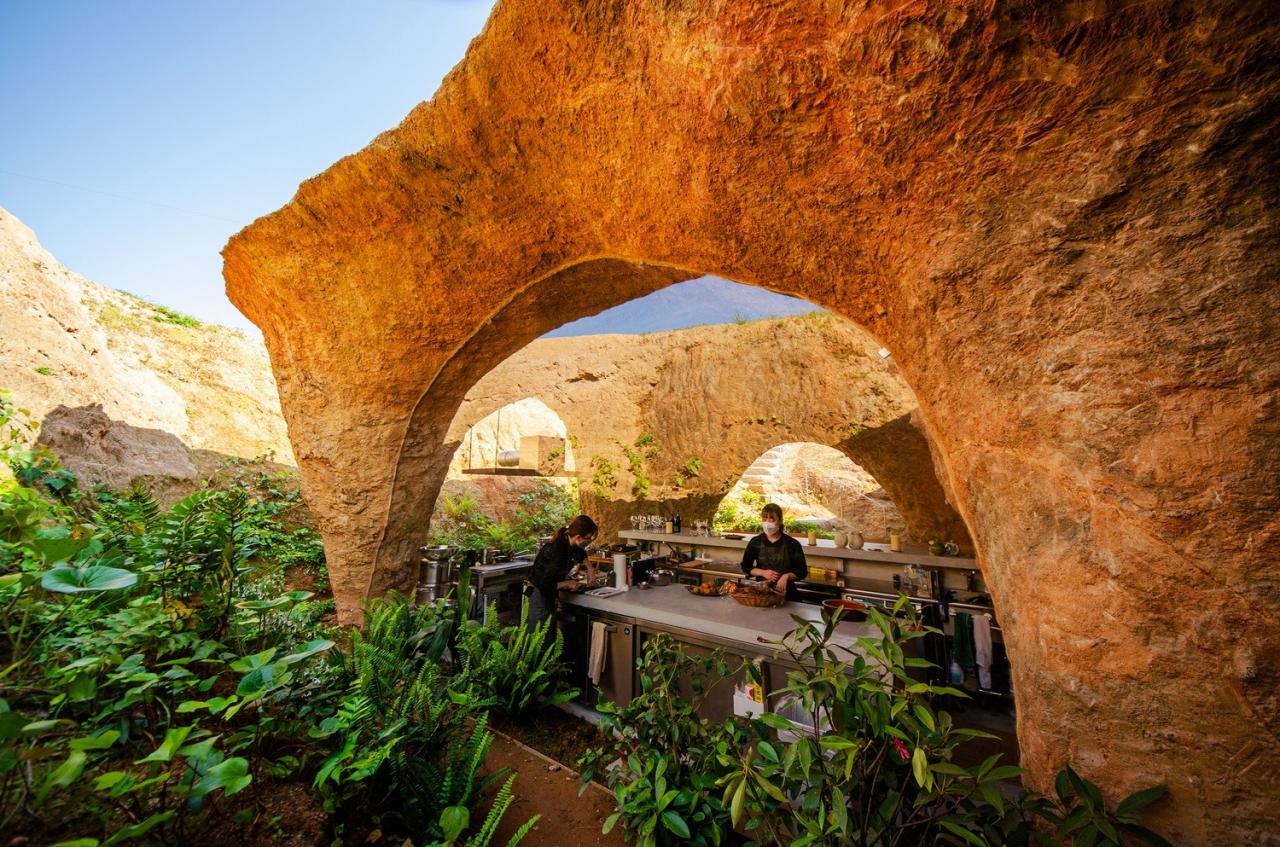 BIM建筑|住宅与餐厅「Maison Owl」 / 石上纯也建筑事务所