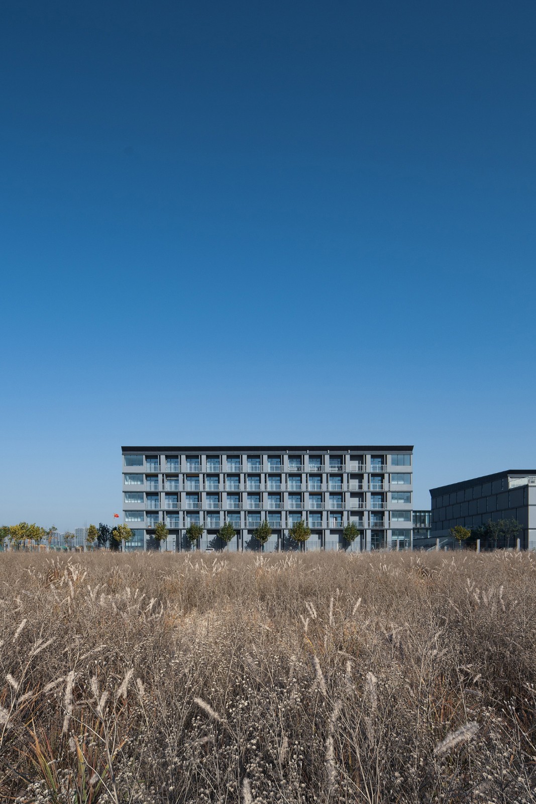 BIM建筑|郑州航空港第八安置区配套中学暨郑州第130中学 / 上海联创设计集团