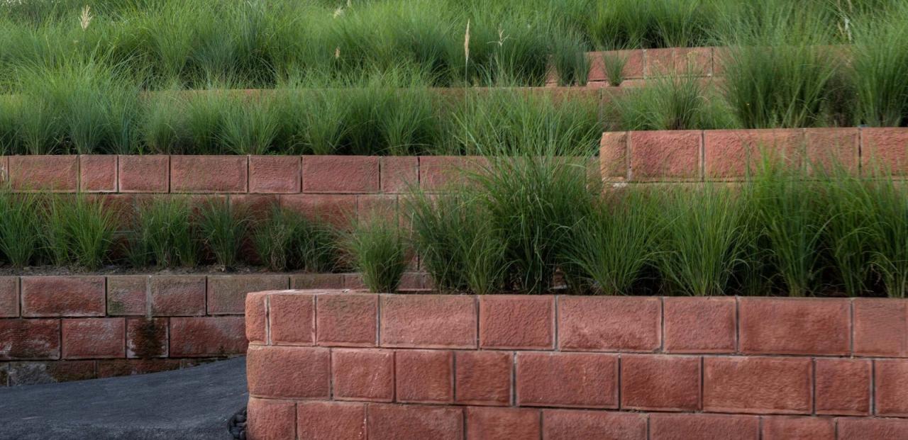 BIM建筑|安石乡村书局 / 锋茂建筑