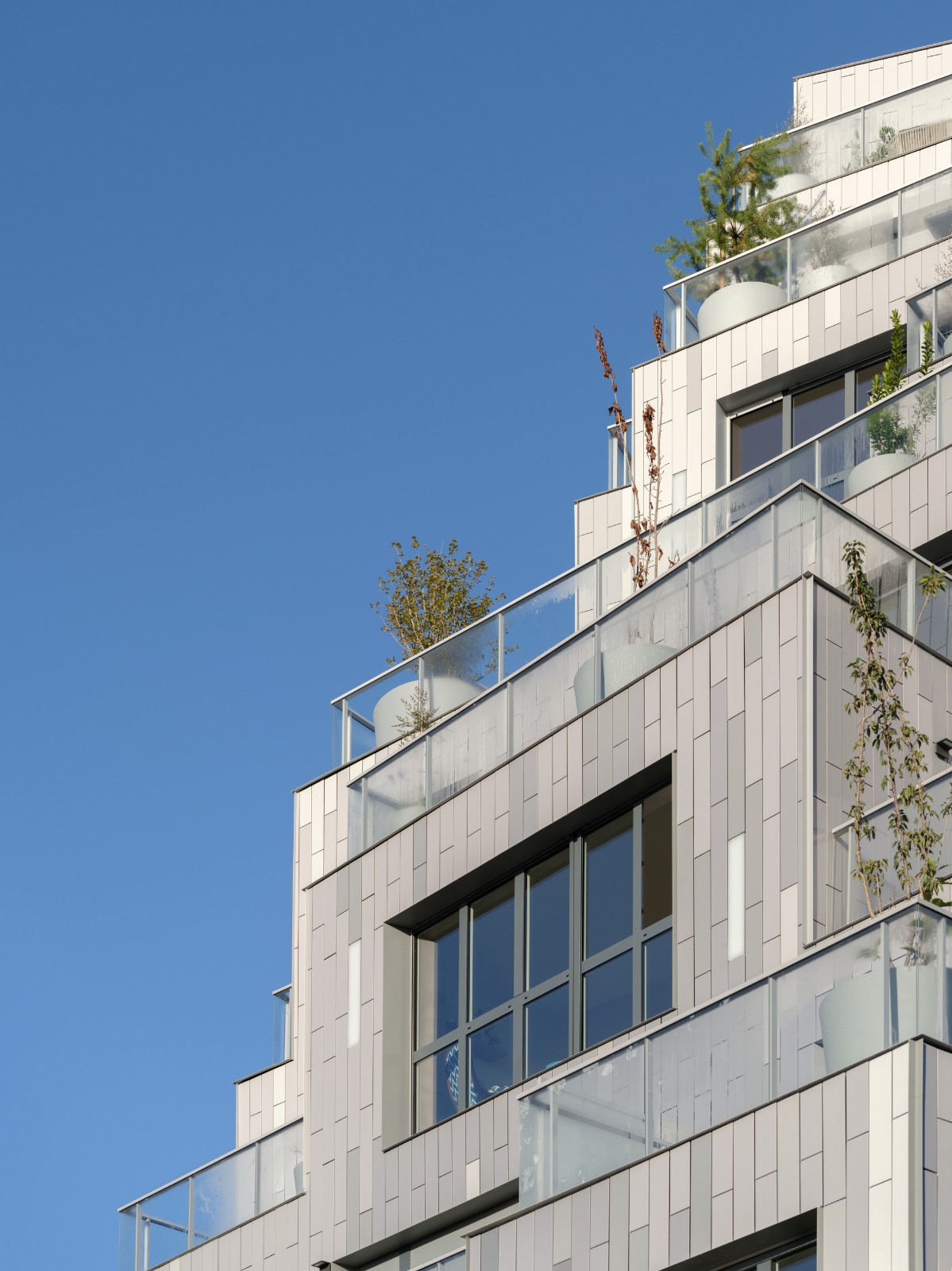 BIM建筑|景观住宅综合体 Ascension / MVRDV