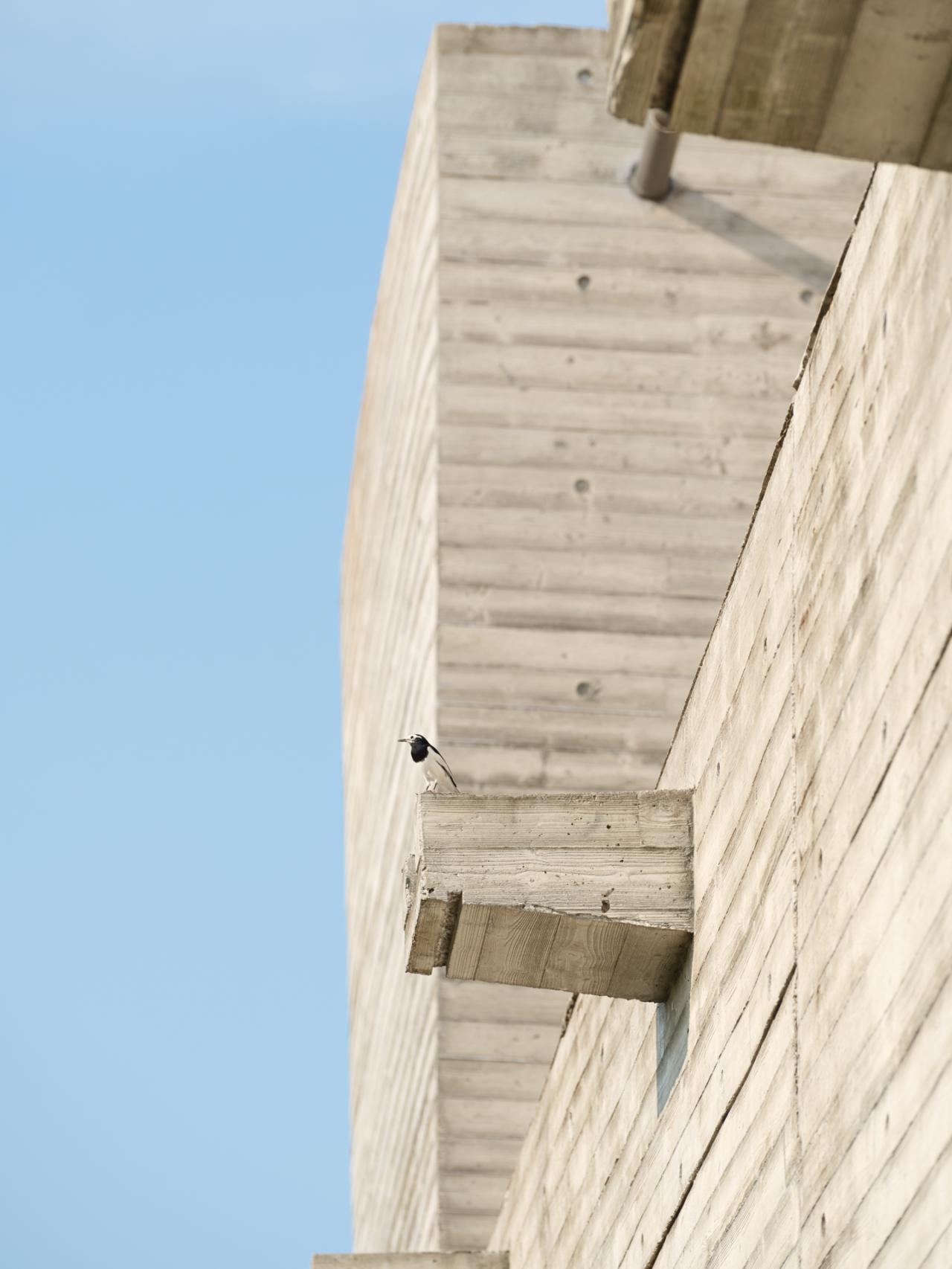 BIM建筑|释放天性的乡村俱乐部 ：江小白的一亩三分地 JOYBO FARM / 未见筑设计事务所