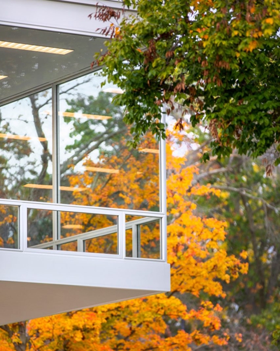 BIM建筑|密斯·凡德罗的设计在他去世50年后完成