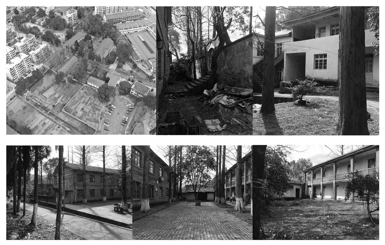 BIM建筑|龙游溪口镇乡村未来社区圃舍·溪口共享民宿 / 上海严旸建筑设计工作室