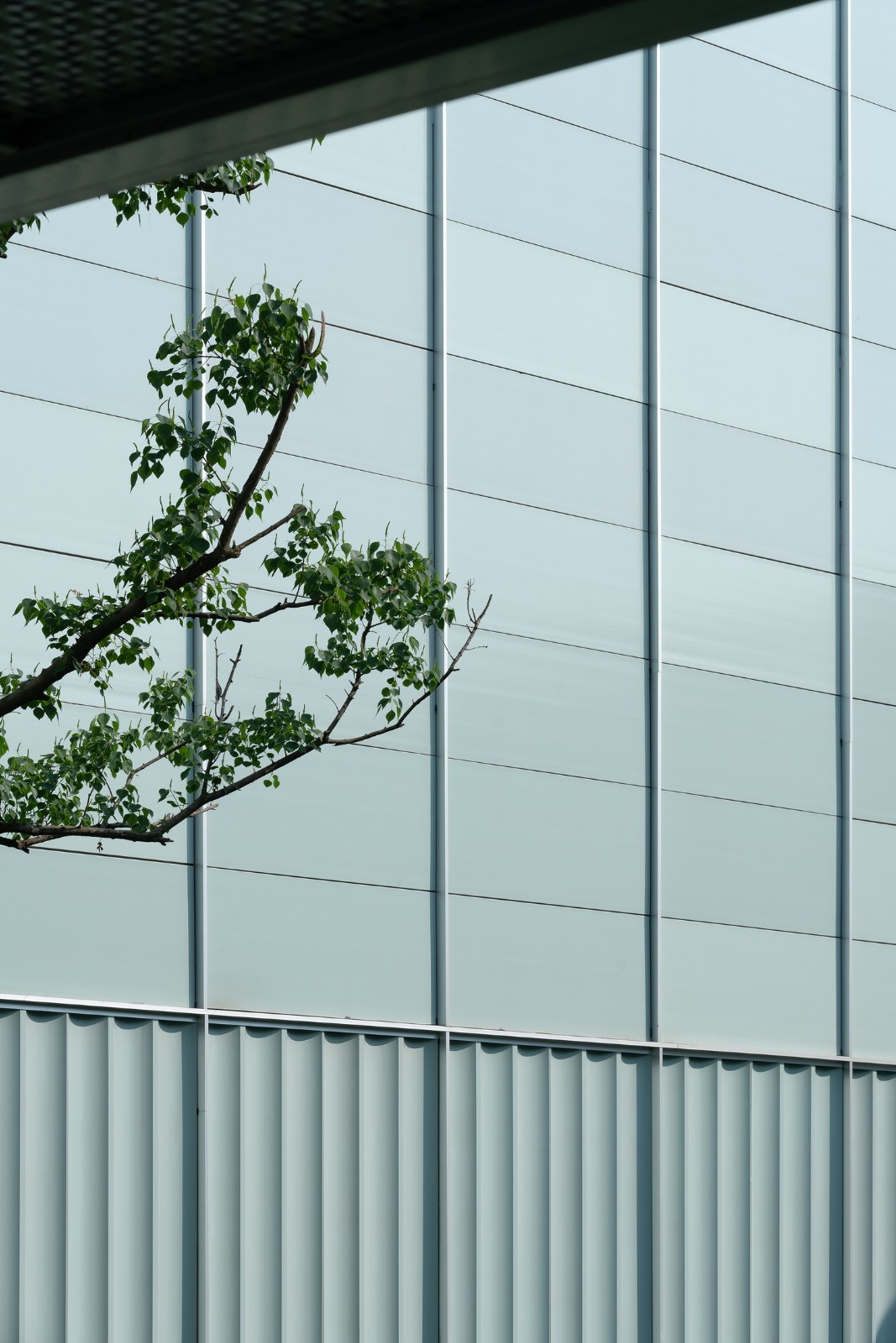 BIM建筑|雅达剧院：山林与舞台 / goa大象设计