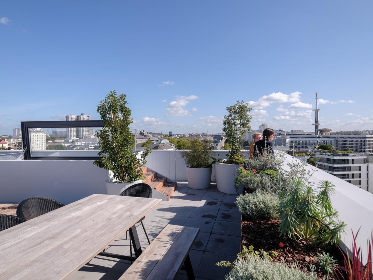 BIM建筑|景观住宅综合体 Ascension / MVRDV